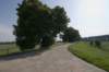 biesbosch_069_small.jpg