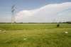 biesbosch_070_small.jpg