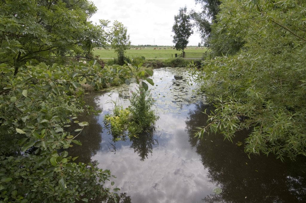 hollandsekade_005.jpg
