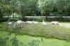 hollandsekade_007_small.jpg