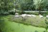 hollandsekade_008_small.jpg