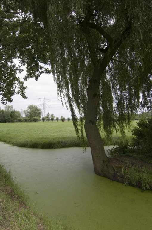 hollandsekade_009.jpg