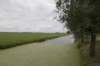 hollandsekade_012_small.jpg