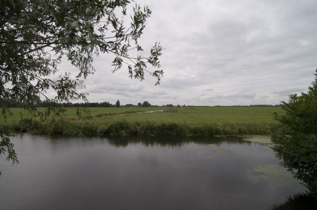 hollandsekade_014.jpg