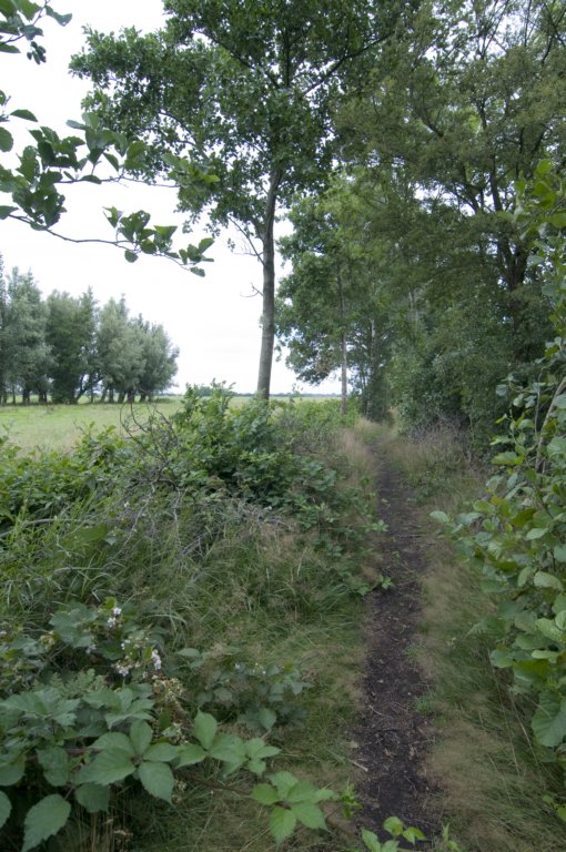 hollandsekade_017.jpg