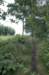 hollandsekade_017_small.jpg