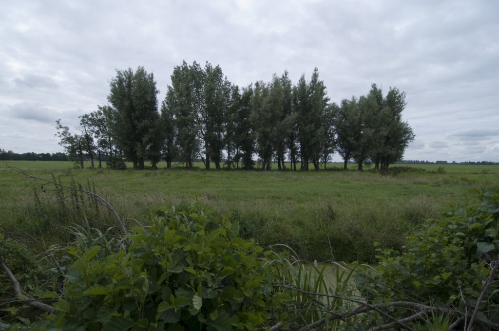 hollandsekade_019.jpg