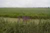 hollandsekade_022_small.jpg