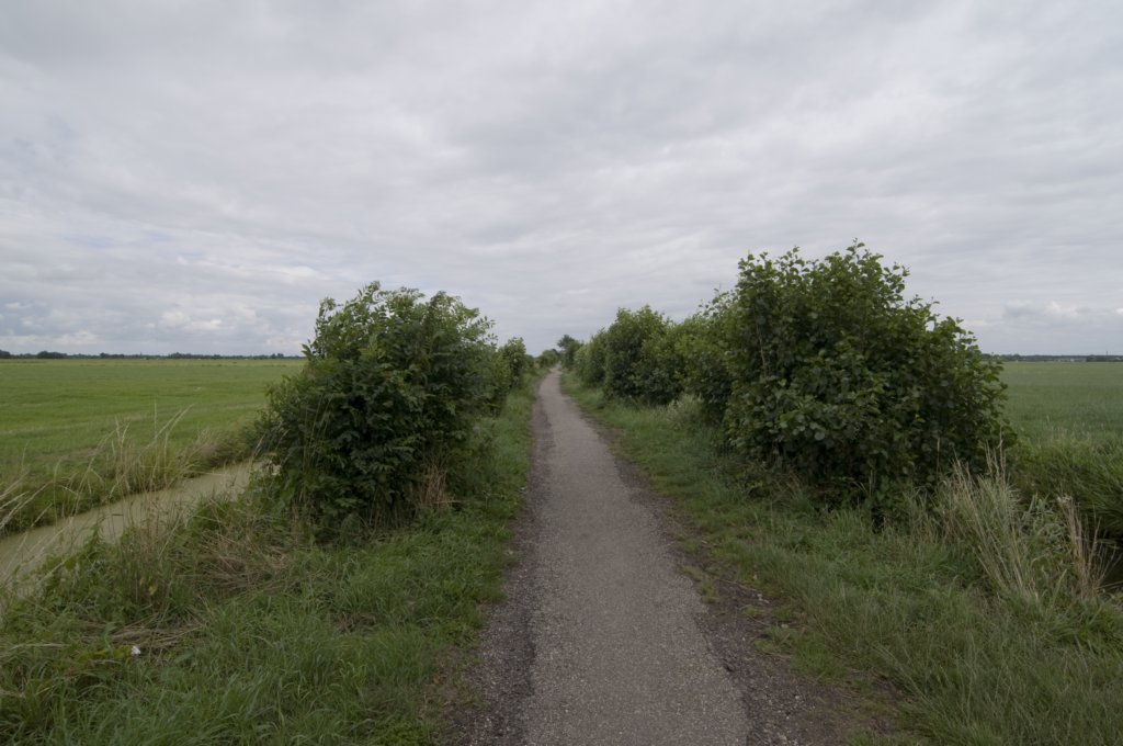 hollandsekade_023.jpg