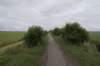 hollandsekade_023_small.jpg