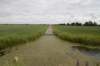 hollandsekade_028_small.jpg