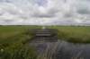 hollandsekade_029_small.jpg
