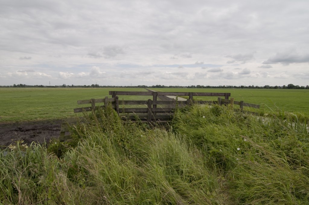 hollandsekade_030.jpg