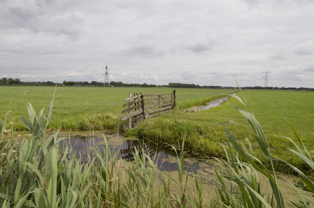 hollandsekade_032.jpg