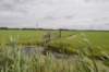 hollandsekade_032_small.jpg