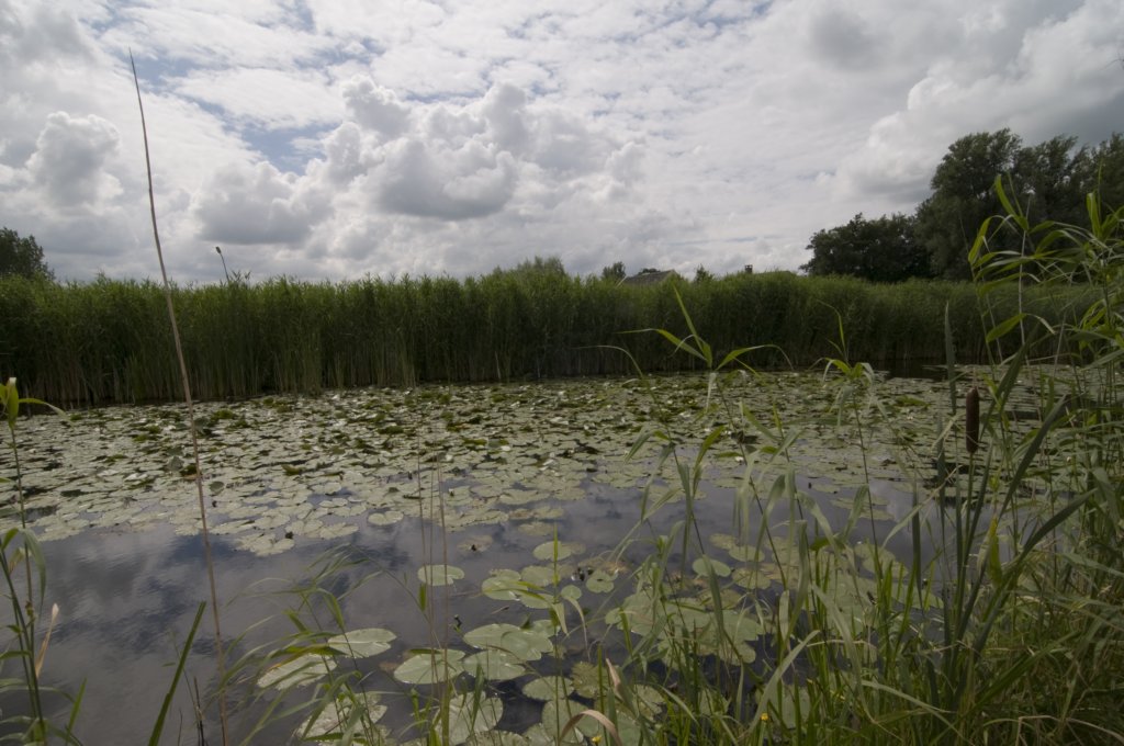 hollandsekade_036.jpg