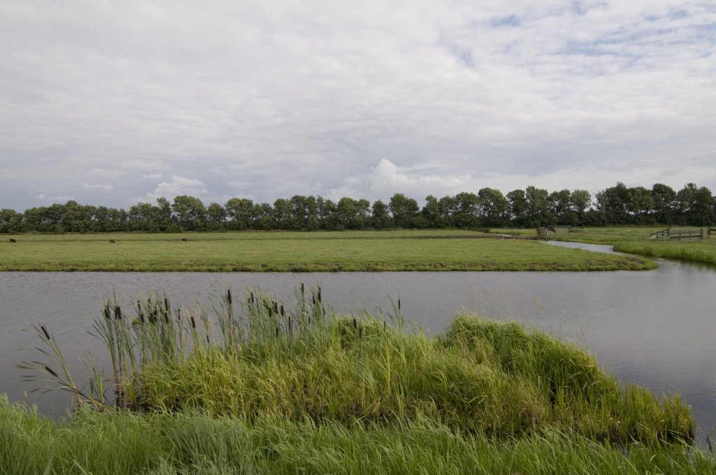hollandsekade_059.jpg