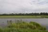 hollandsekade_059_small.jpg