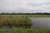 hollandsekade_060_small.jpg