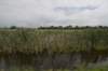hollandsekade_061_small.jpg