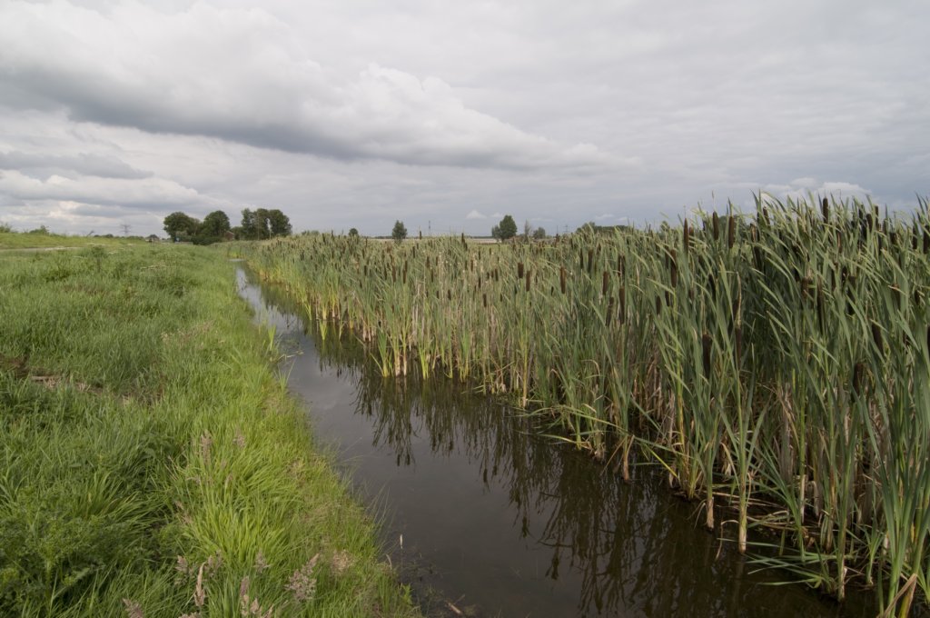hollandsekade_062.jpg