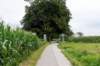 holterberg2_001_small.jpg