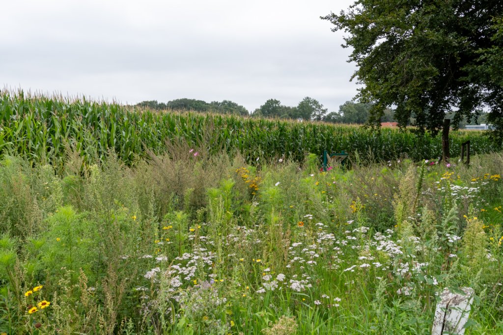holterberg2_002.jpg