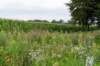 holterberg2_002_small.jpg