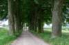 holterberg2_004_small.jpg