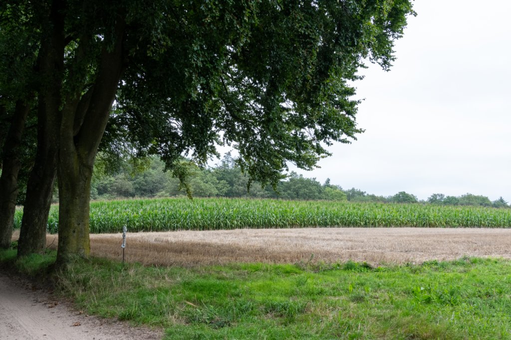 holterberg2_005.jpg