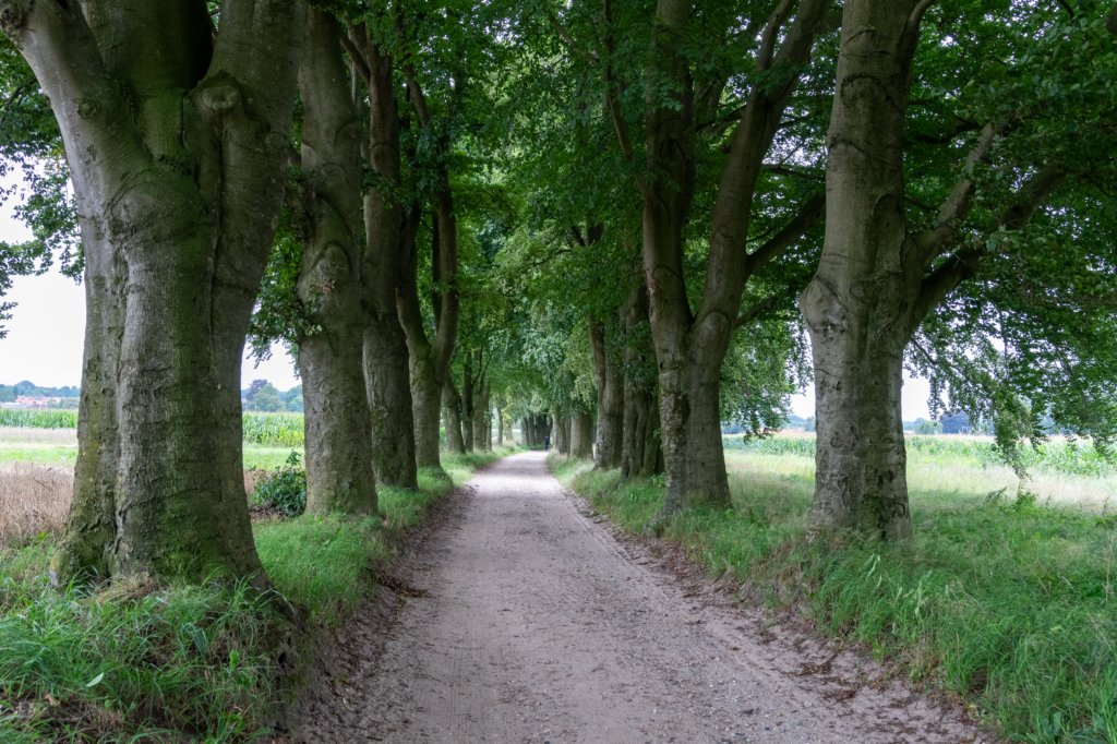 holterberg2_006.jpg