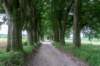 holterberg2_006_small.jpg