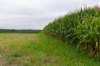 holterberg2_007_small.jpg