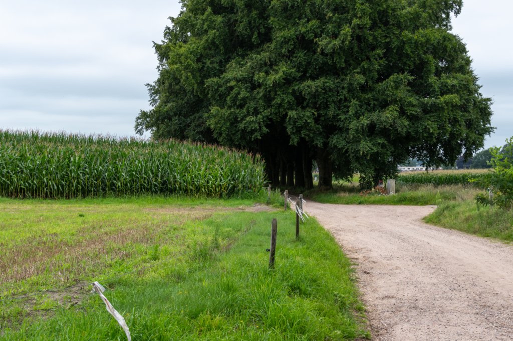 holterberg2_008.jpg