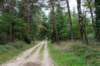 holterberg2_009_small.jpg