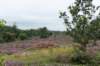 holterberg2_013_small.jpg