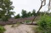 holterberg2_014_small.jpg