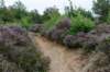 holterberg2_015_small.jpg