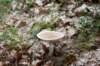 holterberg2_017_small.jpg