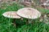 holterberg2_020_small.jpg