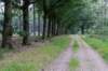 holterberg2_021_small.jpg