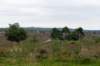 holterberg2_024_small.jpg