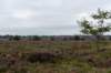 holterberg2_025_small.jpg