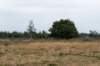 holterberg2_026_small.jpg