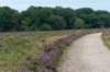 holterberg2_027_small.jpg