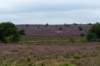 holterberg2_028_small.jpg