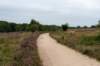 holterberg2_029_small.jpg