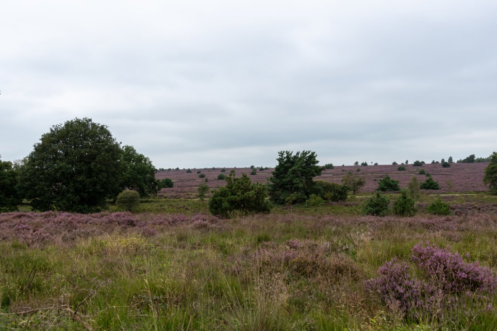 holterberg2_030.jpg