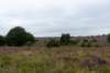 holterberg2_030_small.jpg