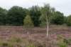 holterberg2_032_small.jpg